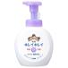 ライオン キレイキレイ 薬用泡ハンドソープ フローラルソープの香り 本体 大型サイズ 500ml