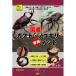  три . association местного производства Kabuto * пила специальный коврик 5L T01