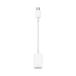 [ кошка pohs рейс только ] Apple Apple USB-C - USB адаптер MJ1M2AM/A стандартный товар 
