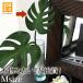  монстера leaf (M) искусственный цветок интерьер искусственная зелень декоративное растение тропический цветок модный высококлассный настоящий подлинный товар целиком 