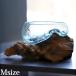 burr glass × natural tree. objet d'art (M) interior driftwood objet d'art marine sea toilet entranceway display burr manner burr miscellaneous goods stylish terrarium 
