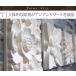 �X�g�[�������[�tM (20cm�~20cm)  �o���� �G�N�X�e���A �^�C�� �� �X�g�[�������[�t �� �� ���� �o�� ������� �Ǐ��� �O�a �O�� ���� �� �֘A�摜1
