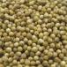 �R���A���_�[ �z�[�� 100g [�h���C�n�[�u] �J���X����|�X�p�C�X ���� �J���[