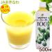 si-kwa-sa- основной раствор ..100% 500ml /JA.... синий порез .si-k.-sa- сок nobire подбородок 