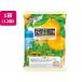  man наан жизнь .. поле мандарин уншиу тест 12 пакет желе десерт кондитерские изделия сладости 