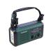THANKO 20000mAh рука поворот зарядка соответствует AM широкий FM радио светло-зеленый KSTM25HGR радио аудио наушники телевизор бытовая техника 