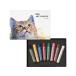  Pentel мелки ART CRAYON искусство мелки комплект 8 цвет PTAC-8