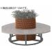 [ производитель прямая поставка ]ito-kif low lounge символ tree фурнитура горшок покрытие bench модель для BW[ оплата при получении не возможно ] лобби bench 