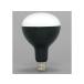 �y�����񂹁z�A�C���X�I�[���} LED�d��������p 3000lm LDR27D-H-E39 ������ ��Ɠ� �Ɩ��p�i �H���p�i ��Ɨp�i �H��