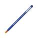  Pentel ... Neo соболь flat кисть 6 номер [ маленький ] XZBNF-6