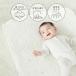 �x�r�[�z�c �~�j�z�c �Q�S�n���悭���� ����ɂ����~���p�b�h �T���f�V�J �R�R�f�V�J ���M�����[ 70�~120 �~�j 60�~90cm �֘A�摜1