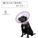  царапина ....... когда VET цвет S красный собака для домашних животных уход рука .kega царапина . домашнее животное 