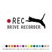  кошка кошка Jump do RaRe ko стикер наклейка ширина type REC регистратор пути (drive recorder) установка машина видеозапись средний разрезной машина стикер 