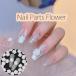 10 штук входит цветок Nailparts декоративные элементы гель ногти ногти аксессуары Nailparts декоративный элемент материалы 3D elegant цветок 