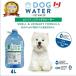  собака вода собака. вода 4L 2 шт домашнее животное натуральный вода вода минут .. моча проблема моча . здоровье -тактный ru резец предотвращение минерал баланс .. поддержка вода минут .. body внутри ..