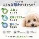 �e�B�G�� ���� ���L �� �L �I�[�����P�A �݂͂��� �}�E�X�P�A ���L ���L�P�A �畆�� �y�b�g�p�i ����y�b�g �T�v�� �\�h�P�A �畆�g���u�� �I�[���C�������P�A �֘A�摜1