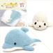 [ рукоделие комплект ] животное мягкая игрушка животное клуб 2 шт. комплект ( дельфин голубой *.... белый ) летние каникулы ребенок рукоделие . популярный ткань катануки settled конструкция person инструкция * хлопок *pe let есть * др. 