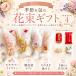 �v�`�M�t�g �G�߂��މԑ��M�t�g ���َq 300�~ �R�[�q�[ ���� ���� �ސE � ������ ���� ���� ���� ��̓� ���̓� �q�� �R�R�T�u