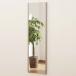 lifeks(REFEX): новый длинный зеркало зеркало 40×140cm ( толщина 2.15cm) золотистый, цвет шампанского futoshi рамка-оправа NRM9/SG( производитель прямая поставка товар )