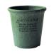  Hachiman ..: eko pot круглый 6 номер зеленый 4966511237365... горшок 