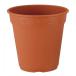  Apple одежда -ro там pot 380 type Brown 4905980138131
