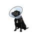  фэнтези world :VET цвет S 4995723400038 домашнее животное собака цвет ветеринарный воротник больница царапина защита 
