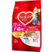 ���{�y�b�g�t�[�h:�r���[�e�B�[�v�� �L���b�g �q�L�p 12�������܂� 1.5kg 4902112043042 �L���b�g�t�[�h �h���C�t�[�h