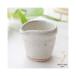  pine . kiln white Hagi . one-side . creamer milk pitcher S size Japanese-style tableware ceramics milk pot small 