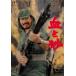 .. песок прокат б/у DVD кейс нет 