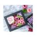 ������ �� ������� �V�����e���[�Y �o�u���o�X �M�t�g ���� ���Ԃ� �a�����v���[���g ���� ���� �֘A�摜2