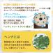 �������߃V�����v�[ �V�R�����w���i�z�� Motto�{�^�j�J���[ 300ml �|���v�� �g���[�g�����g �j�����p ���Y�� �֘A�摜4