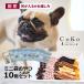 ����̵�� CoKo���ꥸ�ʥ� �� ������� �������뤫���ڤ��ߢ��ߥ˥����������10�����å� CoKo original Snack set