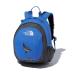  North Face Home ломтик рюкзак сумка Kids NMJ72313