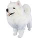 �n���T �y�g�`�m�r�`�z �ʂ������ �T���G�h 49 SAMOYED DOG �I�[�X�g�����A �u�����h hansa ���킢�� �f���� �J�X�j�� ���j�� �a�����j�� �C�k �f�R�C���� DOG