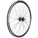 Wheel Master Weinmann DP18 Rear Wheel - 700c, 36H, Fixie/FW, Black MSW by WheelMaster ¹͢