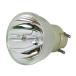 SpArc Platinum for Mitsubishi XD550U Projector Lamp (Original Philips Bulb) ¹͢