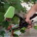  gardening for grape .. gardening for .. tying machine tape tool gardening for .. tying machine Max gardening for tying machine vegetable fruit tree kitchen garden gardening manganese steel grape adjustment possibility 