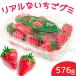�y��e�� 576g�z�O�~ BOB MOOS 3D ���A�� �������O�~ �X�g���x���[�O�~ �C�`�S�W�����o�[�X�g�O�~ �R�X�g�R SNS ASMR � �p�[�e�B�[ �z�z�p ���َq �C�O