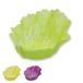  side dish cup anti-bacterial 3 sheets insertion beji cup lettuce cabbage (.. present cup range correspondence dishwasher correspondence side dish inserting small amount . cup bulkhead . cup )