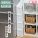 �L�b�`���X�g�b�J�[ �X�����X�g���[�W �t�@�C���g�[���X�g�b�J�[ ��14cm 4�i FTS-4L �i �L���X�^�[�t�� �X�g�b�J�[ �X���� ���[�X�g�b�J�[ �L�b�`�����[ �j