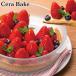 �O���^���M ���E���h�f�B�b�V��S 23�~20cm CERA BAKE �Z���x�C�N �ϔM�K���X �i �H��@�Ή� �d�q�����W�Ή� �I�[�u���Ή� �K���X �ϔM�M �ϔM�e�� �j