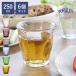 DURALEX �f�������b�N�X �s�J���f�B �O���X 250ml 6�Z�b�g �i PICARDIE �R�b�v �H��@�Ή� �d�q�����W�Ή� �H�� �K���X �K���X�R�b�v �����K���X �j