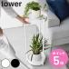 �R����� tower �L���X�^�[�t���v�����^�[�X�^���h �^���[ 2�i �i 4903208043663 �^���[�V���[�Y �v�����^�[�X�^���h �ԑ� ���X�^���h �X�^���h �� �j