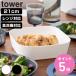 �R����� tower �m���t���C���[���C�i�[ �^���[ 21cm �i 4903208101615 �^���[�V���[�Y �m���t���C���[ ���C�i�[ �H��@�Ή� �j