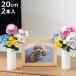 ���� �������s�v �͂�Ȃ� ���� ���d�p �������� 2���g 20cm �i ���� ������ ���� �� �䋟�� ���� �t�F�C�N�t�����[ ���d �������s�v �j