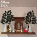 �_�I�p �� 2���g ����50cm ���� ������ �_�� �i ��t �T�J�L �t�F�C�N�O���[�� �͂�Ȃ� �������s�v ������ �䋟�� �t�F�C�N�t�����[ �t �j