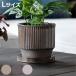  цветочный горшок gela-te pot A модель L примерно 5 номер ( цветок pot план to pot посадочная машина pot горшок растение в горшке керамика керамика )