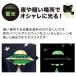 ��e�� �~�� ���� �h�� ����h�� �z�p�G�̋���邭��I�~�� 100g ���P�x �y�C���g ��� ����� ���S�΍� ��̎U���� �֘A�摜1