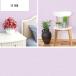�ǎ��V�[�� 1m�P�� �؂蔄�� �\���Ă͂����� �ǎ� ���n �� �A�C�{���[ �p�X�e�� �w�����{�[�� �h�� ���� ���� *�����C�N�V�[�g* �֘A�摜5