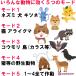 �L�悯 �΍� �ŋ� �Q�b �p�i �� ��ǔL ���ފ� �\�[���[ �[�d�� �����g �t���b�V���t�� ���� ���ԏ� �ŋ��悯 �ŋ��L �˂��悯 ���� �֘A�摜1